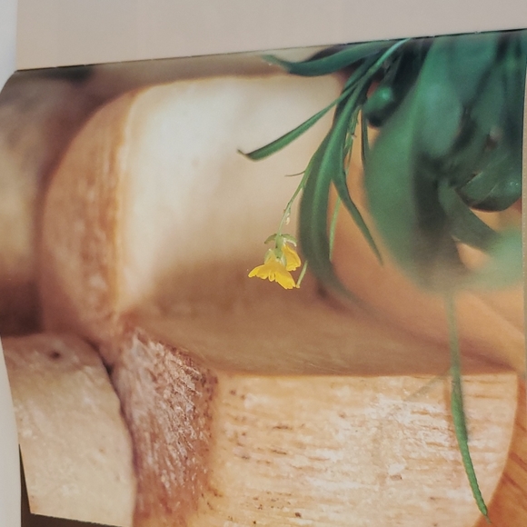 COOKBOOK Italian Slow and Savory Joyce Goldstein 2004 Recipes Hardcover +DJ - Picture 4 of 5